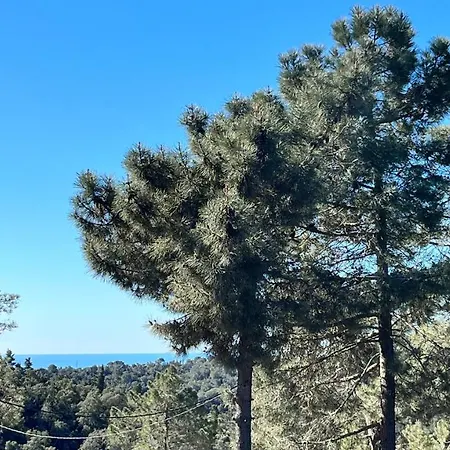 Paradise Lloret Casa de hóspedes