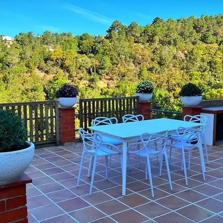 Paradise Lloret *